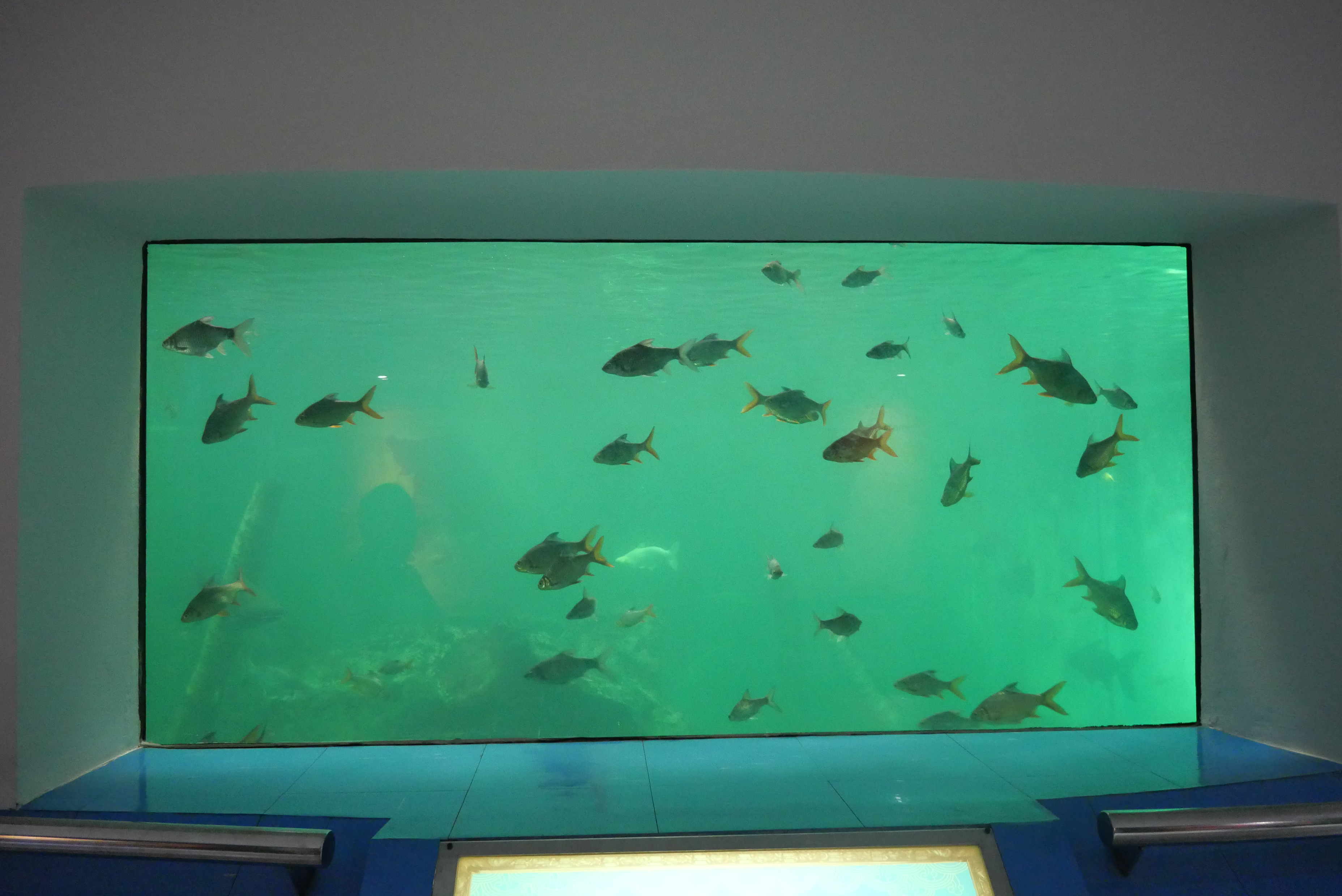 title - เลขาธิการ ส.ป.ก. บันทึกเทปให้สัมภาษณ์ภาพยนตร์สารคดีชุด “สืบสาน สร้างสุข ปวงประชา” และตรวจติดตามการดำเนินงานในพื้นที่เขตปฏิรูปที่ดิน ณ จังหวัดพระนครศรีอยุธยา